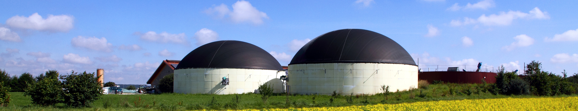 Biogas Industry